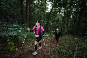 BIB: 
                            <button type="button" onclick="openModal(22555466)" class="btn btn-primary btn-sm float-right btn-popup" data-toggle="modal" data-target=".modal-high-quality">
                        <i class="fas fa-shopping-cart"></i> Add to Cart
                    </button>
                                            <button type="button" onclick="isThisMe(22555466, true)" class="btn btn-success btn-sm float-right btn-popup btn-isme hidden" data-toggle="tooltip" data-placement="bottom" title="นี่คือรูปของคุณใช่ไหม คลิกที่นี่เพื่อเอาเข้าอัลบั้ม">
                        <i class="fas fa-plus"></i> Add to album
                    </button>
                    <button type="button" onclick="isThisMe(22555466, false)" class="btn btn-warning btn-sm float-right btn-popup btn-isnotme hidden">
                        <i class="fas fa-ban"></i> Remove from album
                    </button>